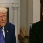 Donald Trump Elon Musk: Donald Trump wants Elon Musk to be ‘more aggressive’. Explains why