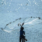 Budget 2026: FM marches on Kartavya Path, balances ‘poll’itics & economics